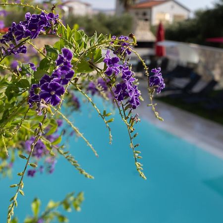 Villa Aqua Zaboric Bagian luar foto